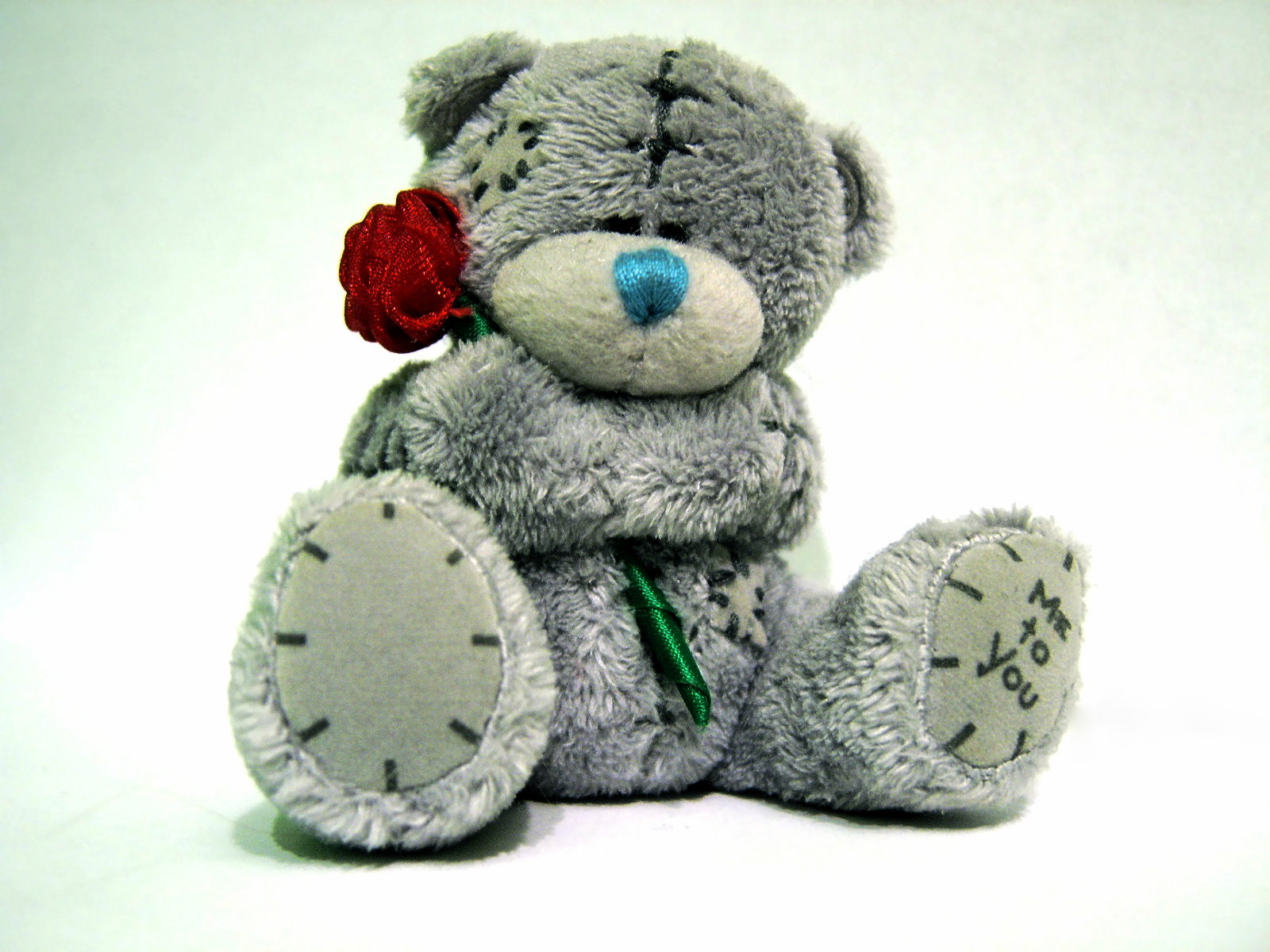 Teddys lässt grüßen • Tapitore Photography